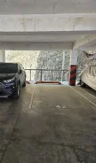 ����� �����������. ����