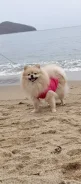 ����. ����