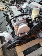 ��������� D13B (���������/��������) 11000P7A800 ����
