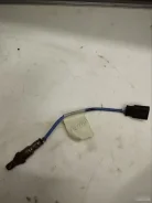 ������-���� 55219791 55219791 ����