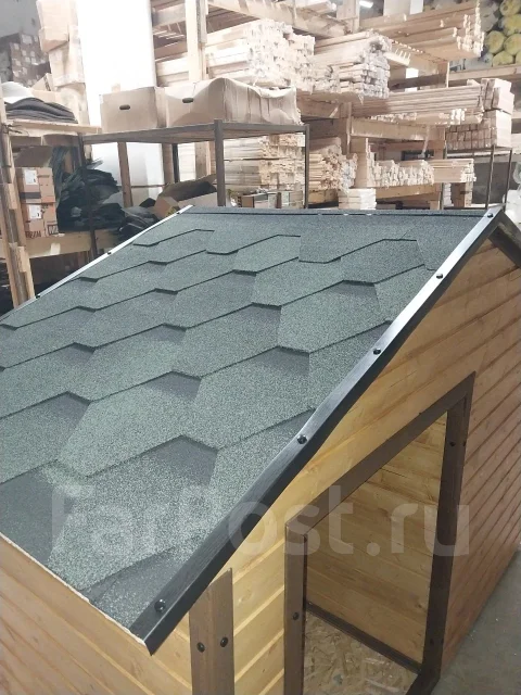 ����� ����