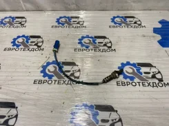 ������ �����������(������-����) Ford Focus 1 2000 98AB9G444BB ������� 2.0L Zetec 98AB9G444BB ����