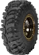 Accelera Badak X-Treme