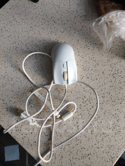 ������ �������. ����