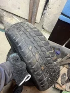 Roadstone Winguard 231. ������, ��� �����, �/�, ����� 20 %. ��������� ����