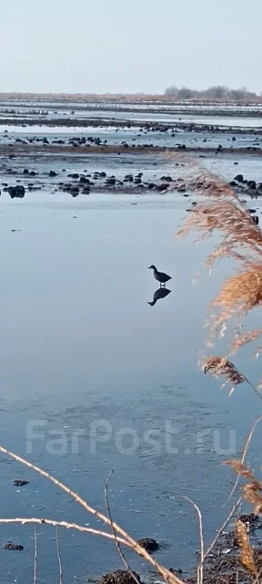 ����. ����