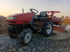 ����������� �����, ������������� ������ ����