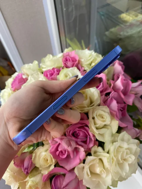 Apple iPhone 16. �����, 256 ��, �����, 3G, 4G LTE, 5G, Dual-SIM, ���������� ����