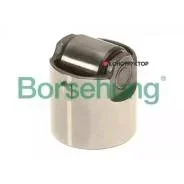 ��������� ���� Borsehung B18195 B18195 ����