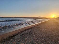 ��������. ����