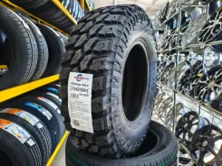 Massimo Potere M/T. ����� mt, 2026 ���, ����� ����