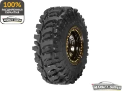 Accelera Badak X-Treme