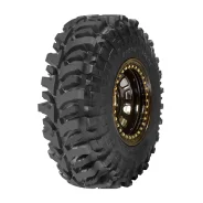 Accelera Badak X-Treme