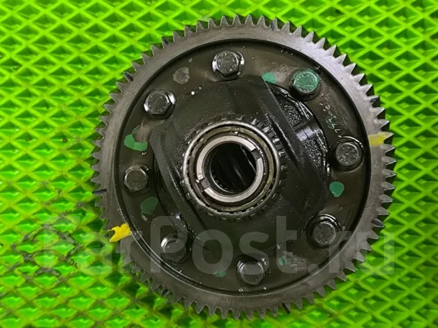 ������������ ���� ������� ������ 2016 311884 311884 ����