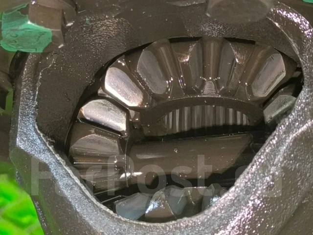 ������������ ���� ������� ������ 2016 311884 311884 ����