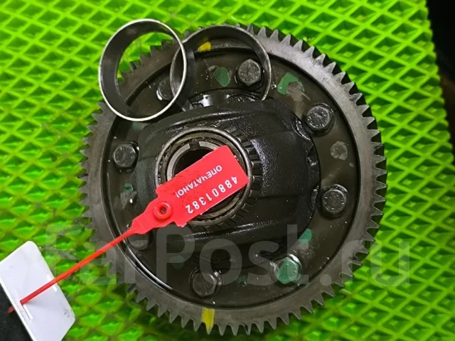 ������������ ���� ������� ������ 2016 311884 311884 ����