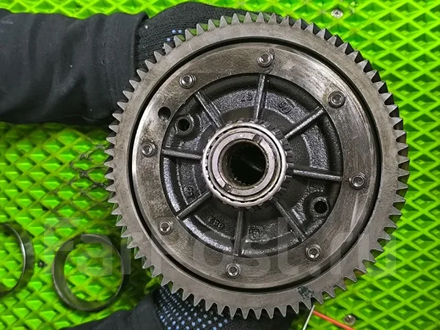������������ ���� ������� ������ 2016 311884 311884 ����