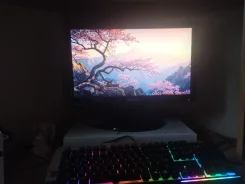 Samsung. 19.5", ���������� �� (LCD, LED, QLED) ����