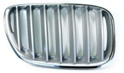 ������� ��������� TYG BM07031GBR, ������ BM07031GBR ����
