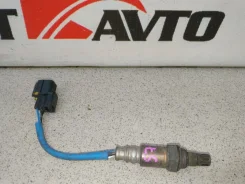 ������ ����������� Honda Stepwgn 2003-2005 36531PNC003 RF3 K20A 36531PNC003 ����