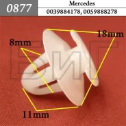 ������ ��������� ������� ����� Mercedes ���� ����� 0877 ����