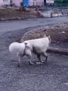 ������. ����