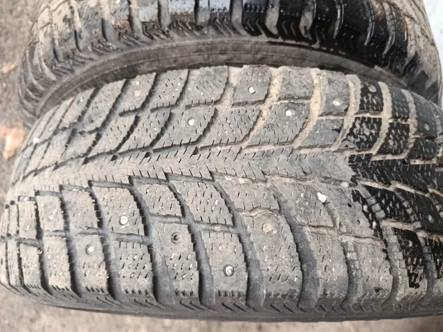 Nordman +. ������, ����������, �/�, ����� 30 % ����