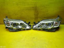 ���� Toyota MARK X 2010 [172997], ������ 22348 ����