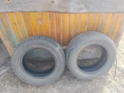 Farroad FRD79. ������, ��� �����, 2020 ���, �/�, ����� 45 % ����