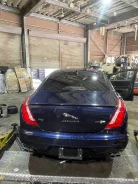 Jaguar ����