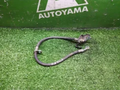 ����� ��������� Honda Civic 01464SNAA01 FD1 R18A, �������� ������ 01464SNAA01 ����