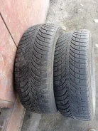 Goodyear. �����������, 2019 ���, �/�, ����� 30 % ����