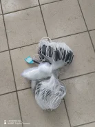 ���������� ����. ����