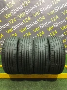 Minerva F209