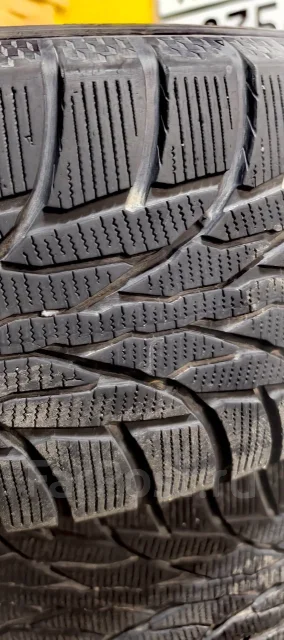 Kumho KC51. ������, ��� �����, 2023 ���, �/�, ����� 15 % ����