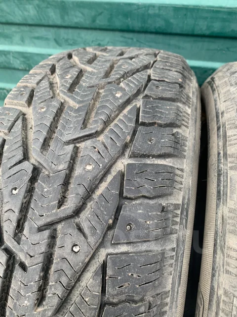 Tigar Ice. ������, ����������, 2020 ���, �/�, ����� 20 % ����