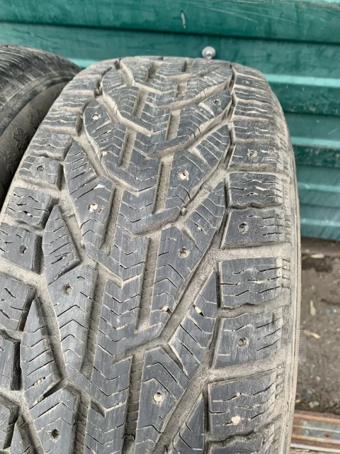 Tigar Ice. ������, ����������, 2020 ���, �/�, ����� 20 % ����