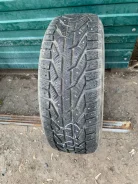 Tigar Ice. ������, ����������, 2020 ���, �/�, ����� 30 % ����