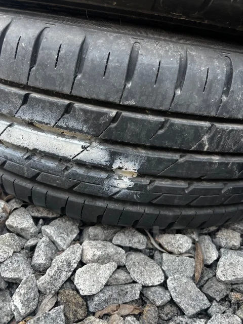 Dunlop Enasave RV504. ������, 2019 ���, �/�, ����� 5 % ����