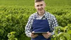 ������������. ��� ���. ����������� ����, ��������� ������������� �����, ������������, ����� ��������� 2� ����