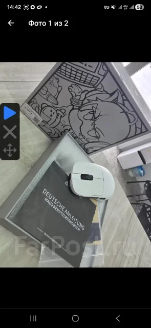 ���� �������. ����
