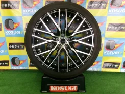 Kyoho Steiner CVX