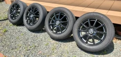 Manaray Sport Euro Speed