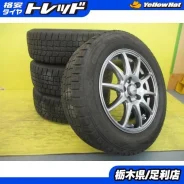 Abelia Sport
