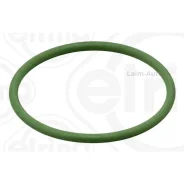 ������ �������������� ���� /31 x 2 mm. / (Fluor-Kautschuk) Mercedes 284720 ����