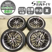 Kyoho Steiner LMX