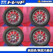 Abelia Sport
