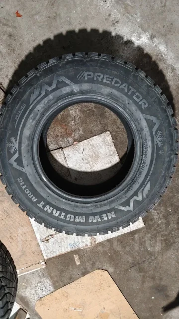 Predator. ������, ����������, 2025 ���, �/�, ����� �� 5 % ����