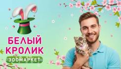 �������������. �� ��������� �.�. ����� ������ 9/1 ����