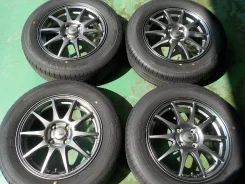 Abelia Sport